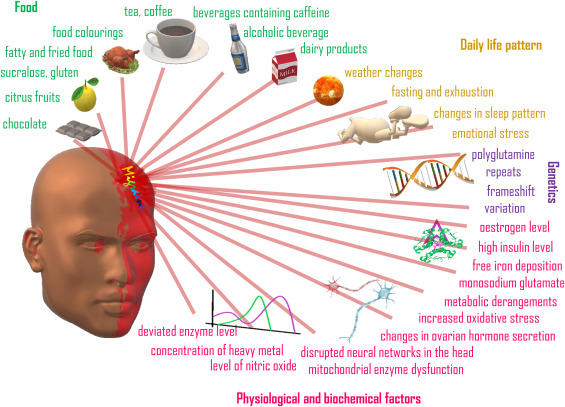 Potential migraine triggers